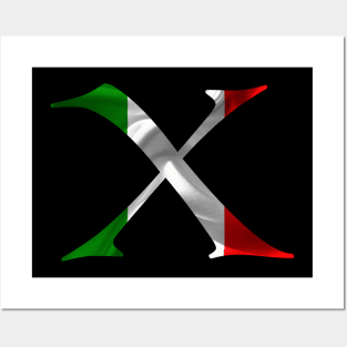 Italy flag X Posters and Art